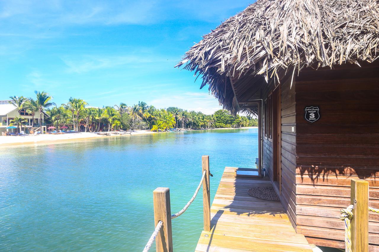 Azul Paradise Bastimentos Eksteriør billede
